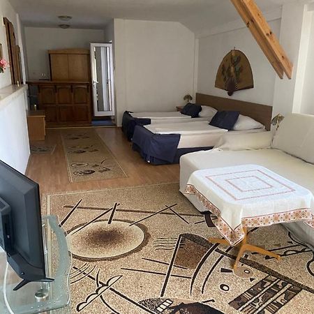 Family Hotel Zdravets Szófia Kültér fotó