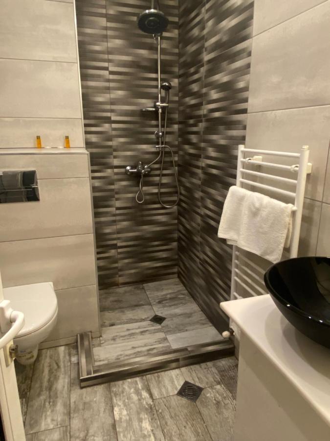 Family Hotel Zdravets Szófia Kültér fotó